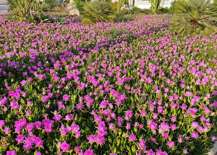 아파트 Casas - Playa Del Cura